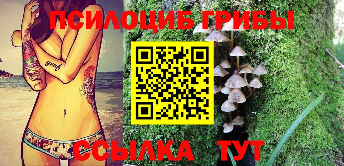 Семилуки  Псилоцибиновые грибы Magic Shrooms  Галлюциногенные грибы Psilocybine cubensis  Вход с VPN 