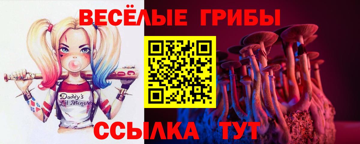 Галлюциногенные грибы Psilocybe Семилуки